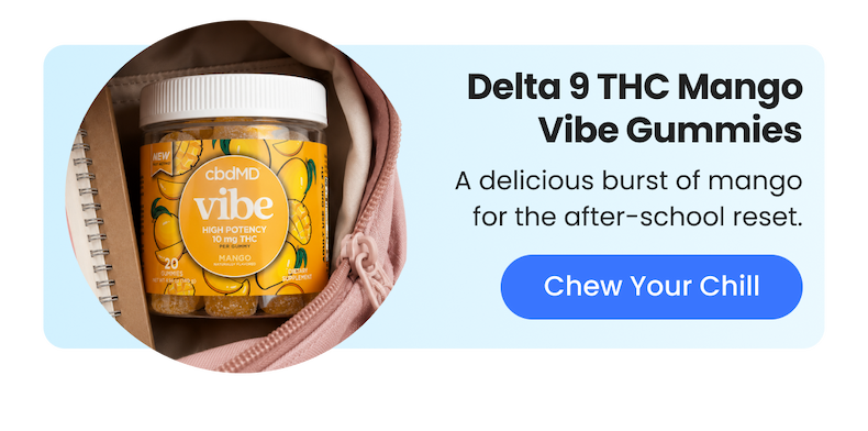 Delta 9 THC Mango Vibe Gummies