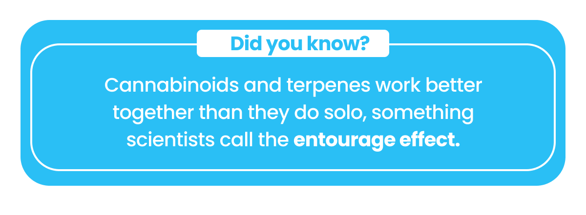 Did you know?