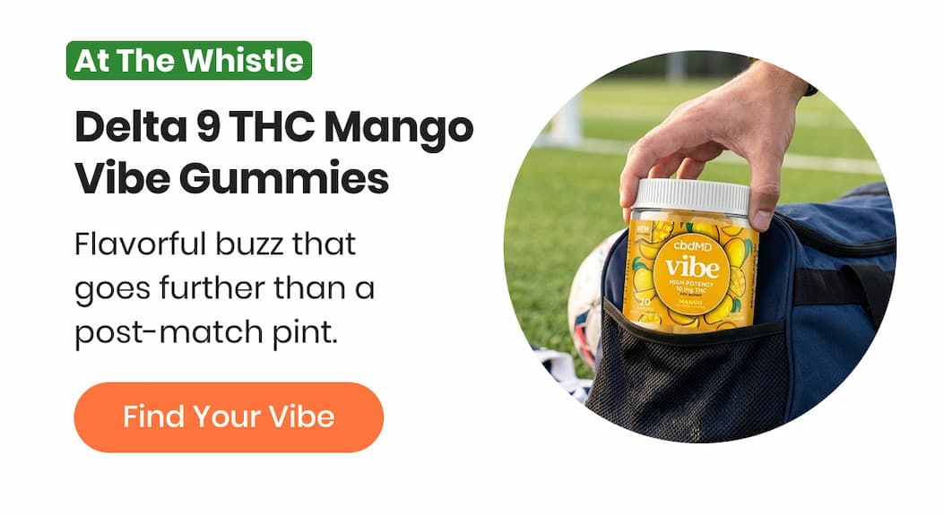 Delta 9 THC Mango Vibe Gummies