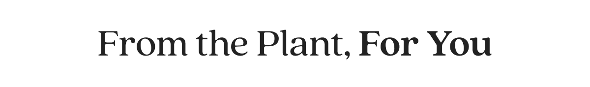 From the Plant, For You