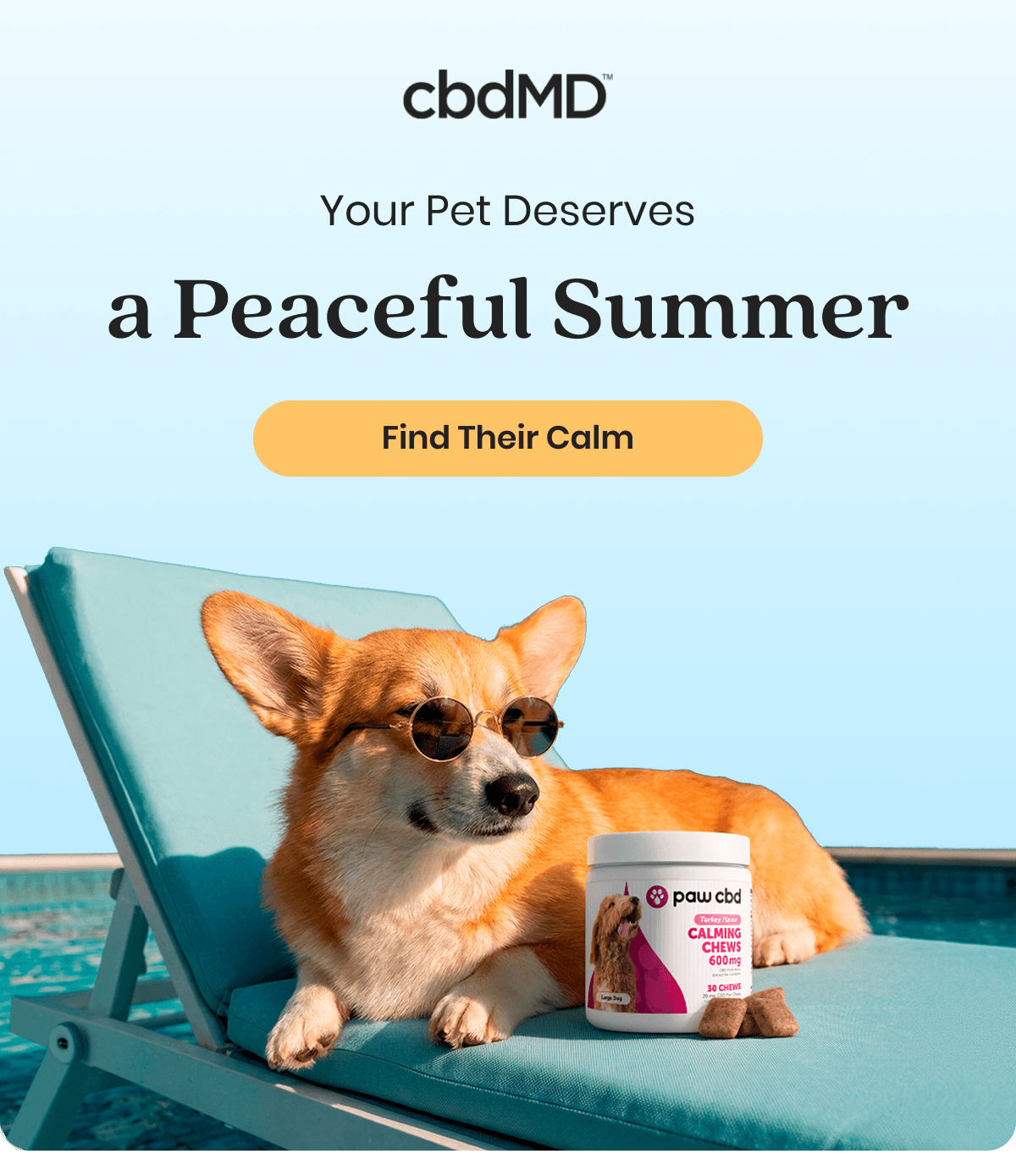 Your Pet Deserves a Peaceful Summer
