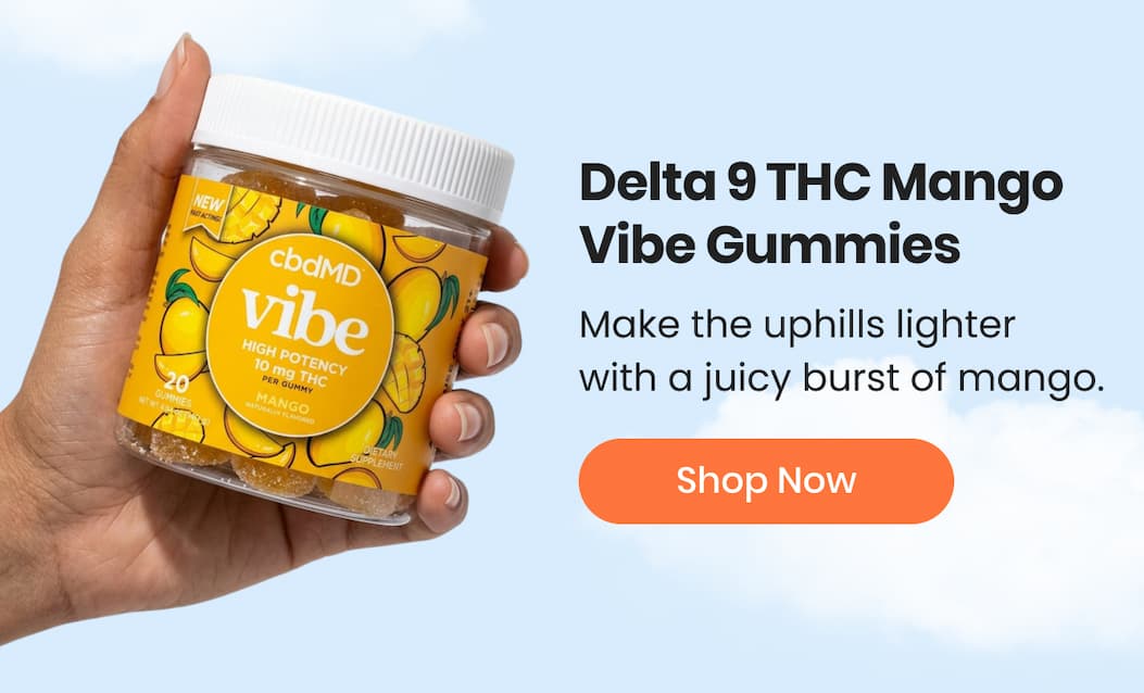 Delta 9 THC Mango Vibe Gummies