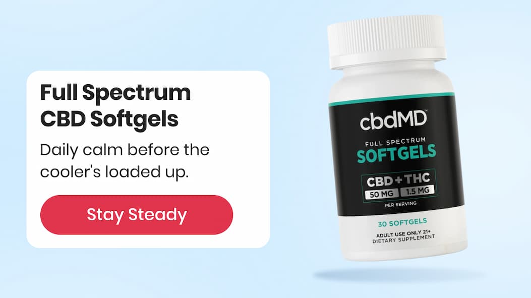 Full Spectrum CBD Softgels