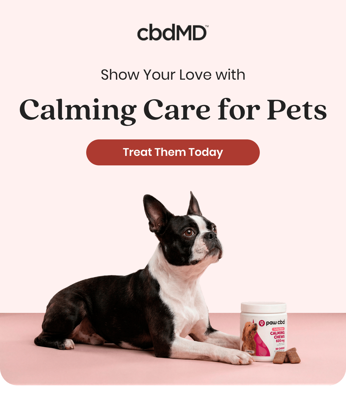 Show Your Love with Calming Care for Pets