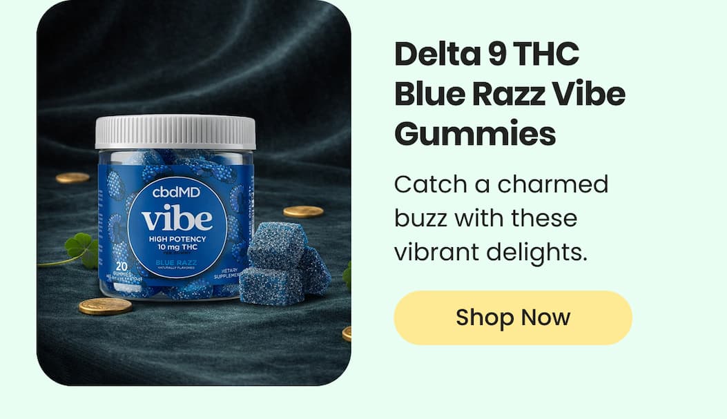 Delta 9 THC Blue Razz Vibe Gummies