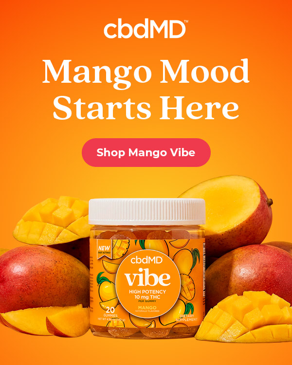Mango Mood Starts Here