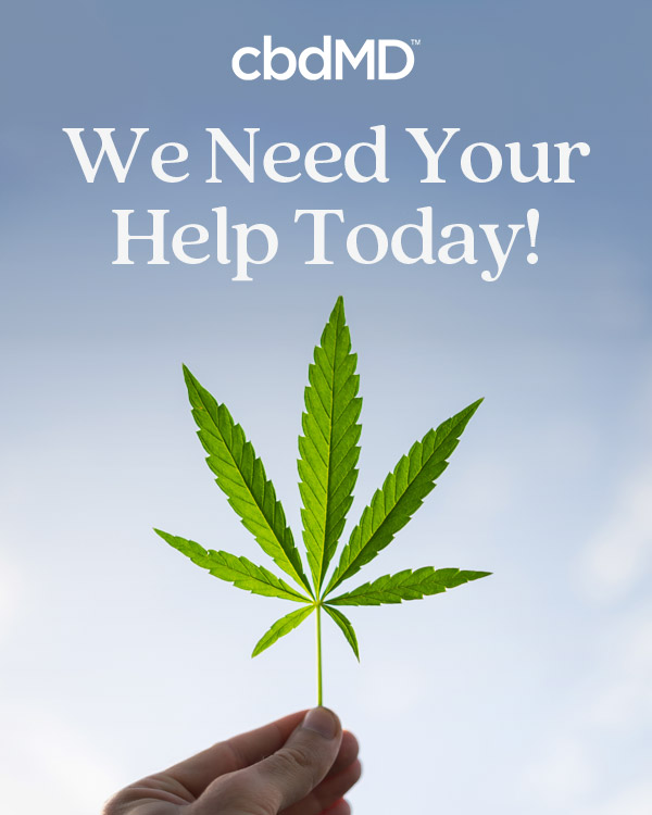 We Need Your Help Today!