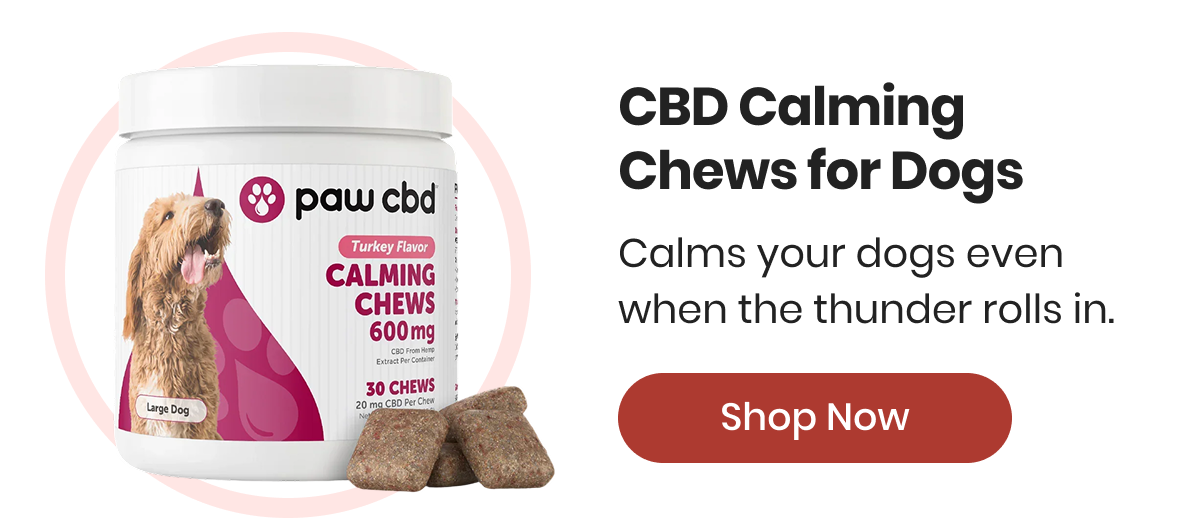 CBD Calming Chews for Dogs