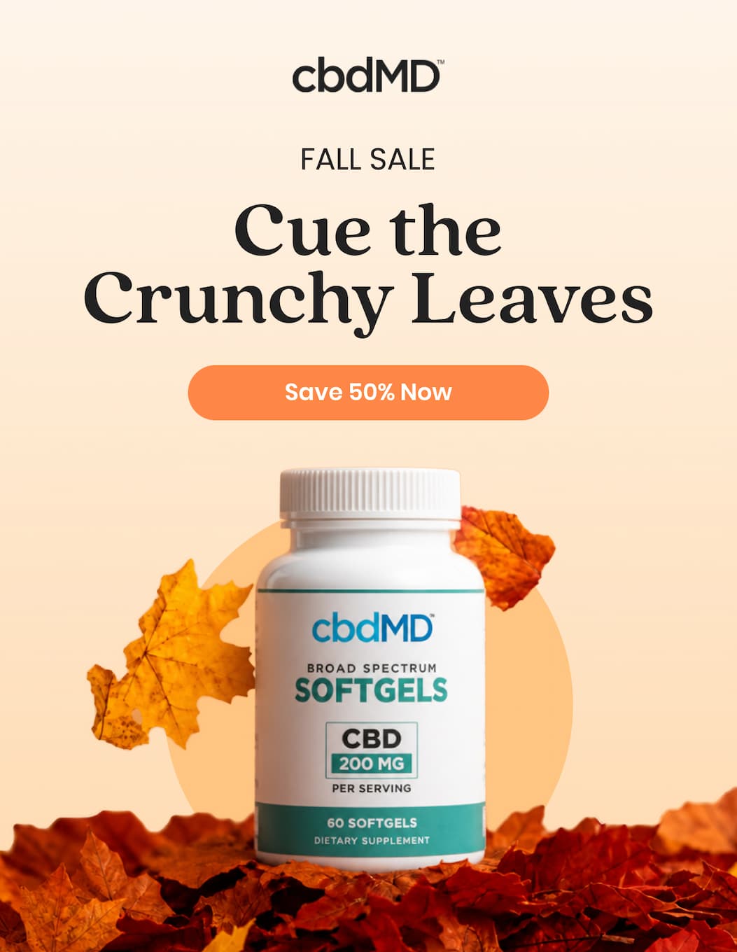 FALL SALE Cue the Crunchy Leaves