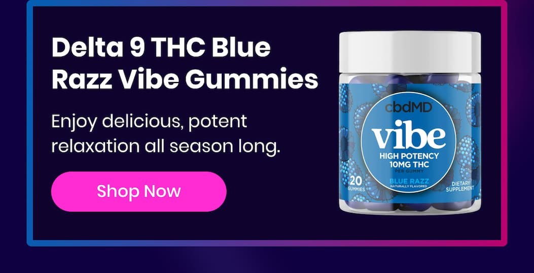 Delta 9 THC Blue Razz Vibe Gummies