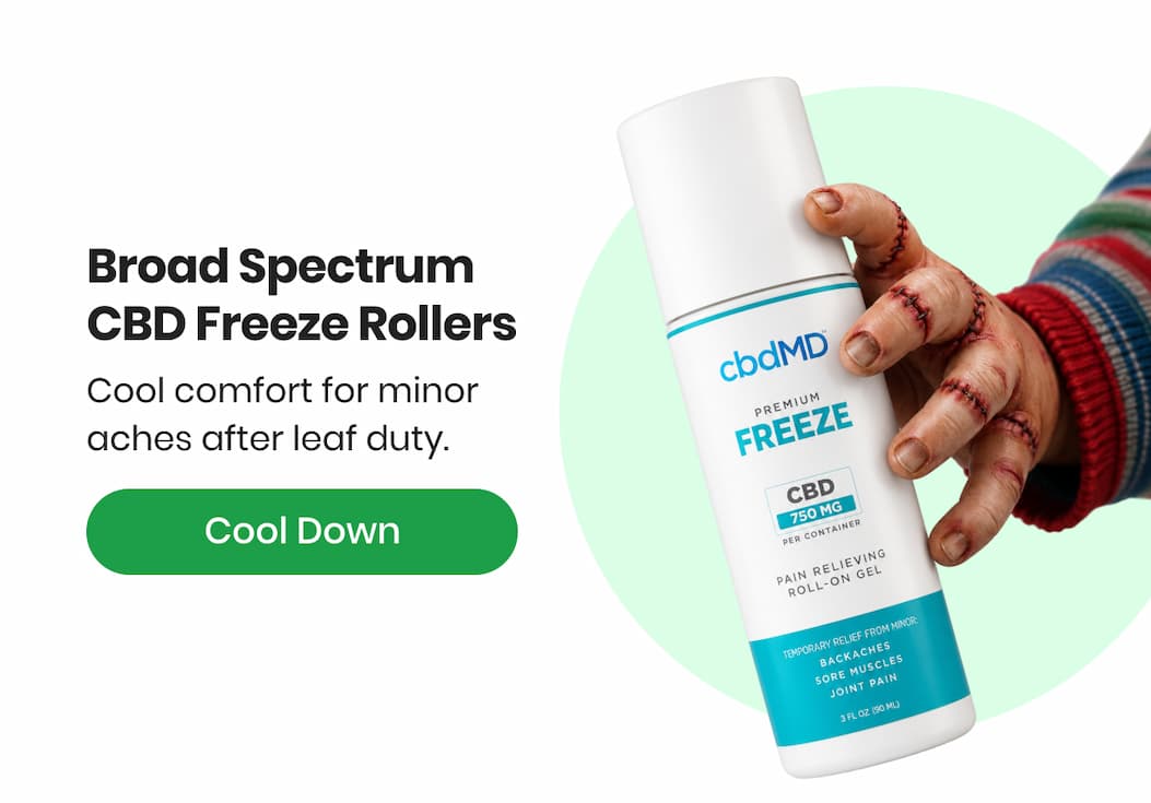 Broad Spectrum CBD Freeze Rollers