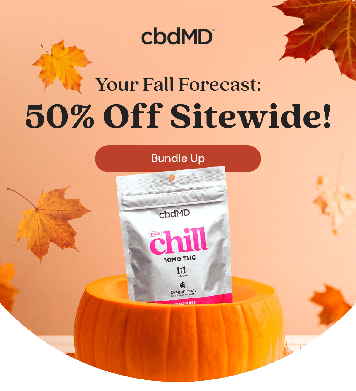 Your Fall Forecast: 50% Off  Sitewide!