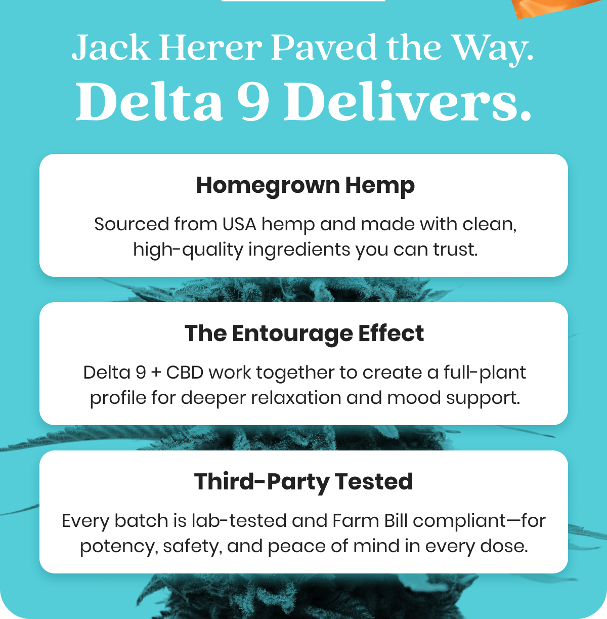Jack Herer Paved the Way. Delta 9 Delivers.