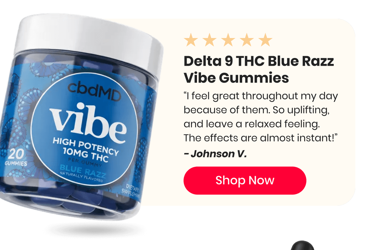 Delta 9 THC Blue Razz Vibe Gummies