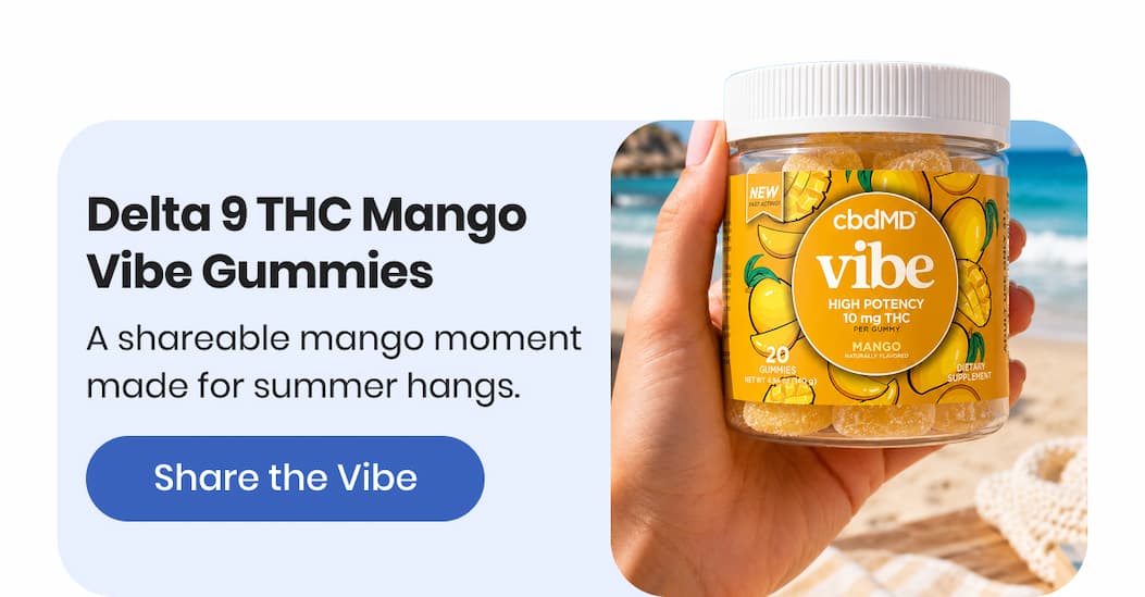 Delta 9 THC Mango Vibe Gummies