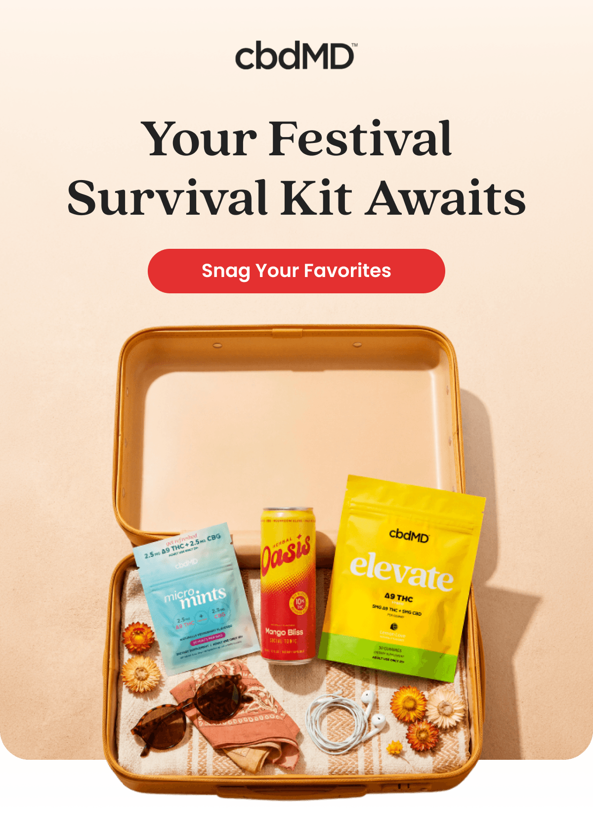 Your Festival Survival Kit Awaits