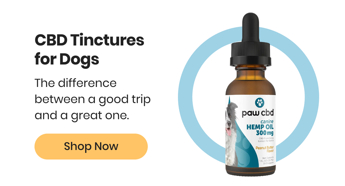 CBD Tinctures for Dogs