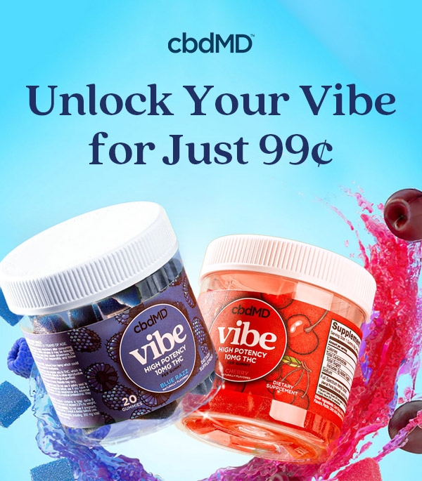 Unlock Your Vibe for Just 99¢