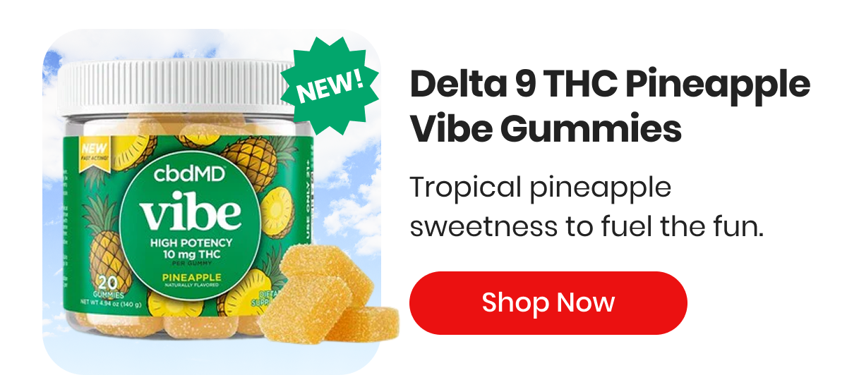 Delta 9 THC Pineapple Vibe Gummies