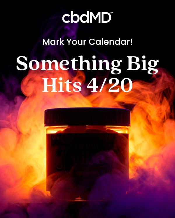 Festival Gates Are Open