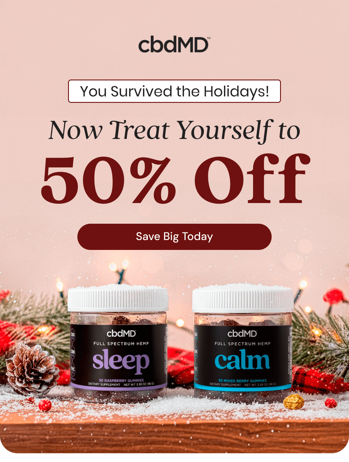 You Survived the Holidays! Now Treat Yourself to 50% Off
