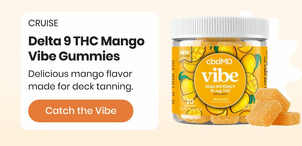 Delta 9 THC Mango Vibe Gummies