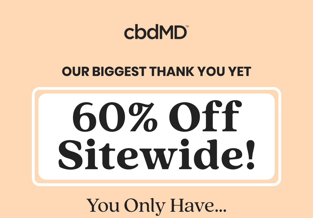 Our Biggest Thank You Yet 60% Off Sitewide!