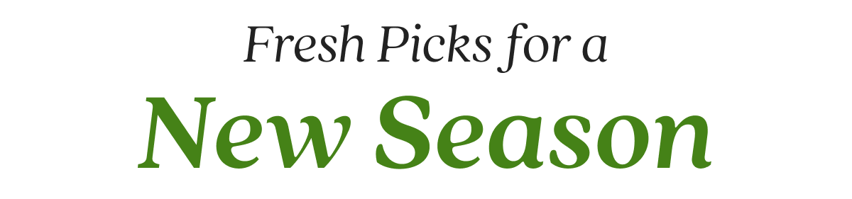 Fresh Picks for a New Season