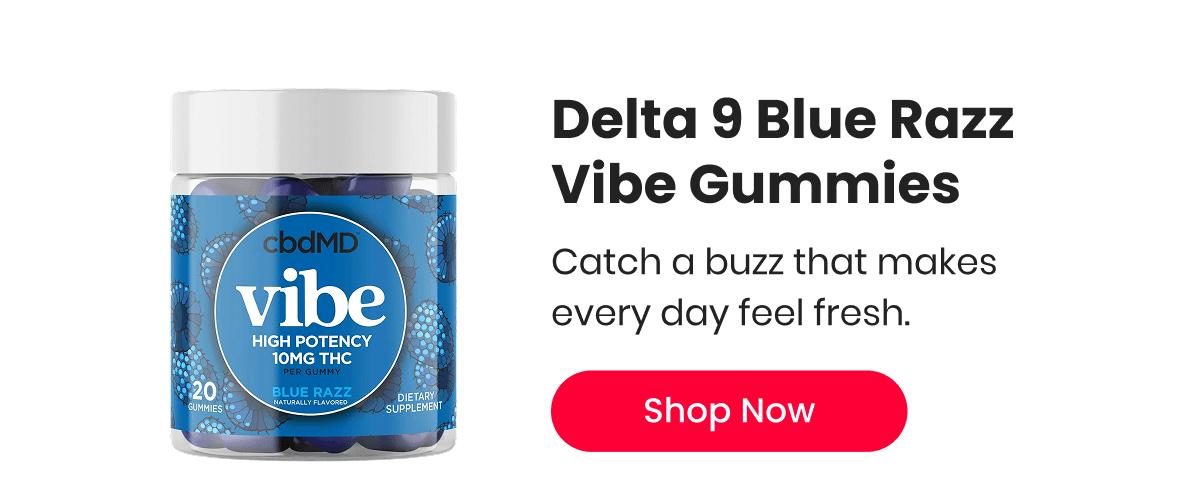 Delta 9 Blue Razz Vibe Gummies