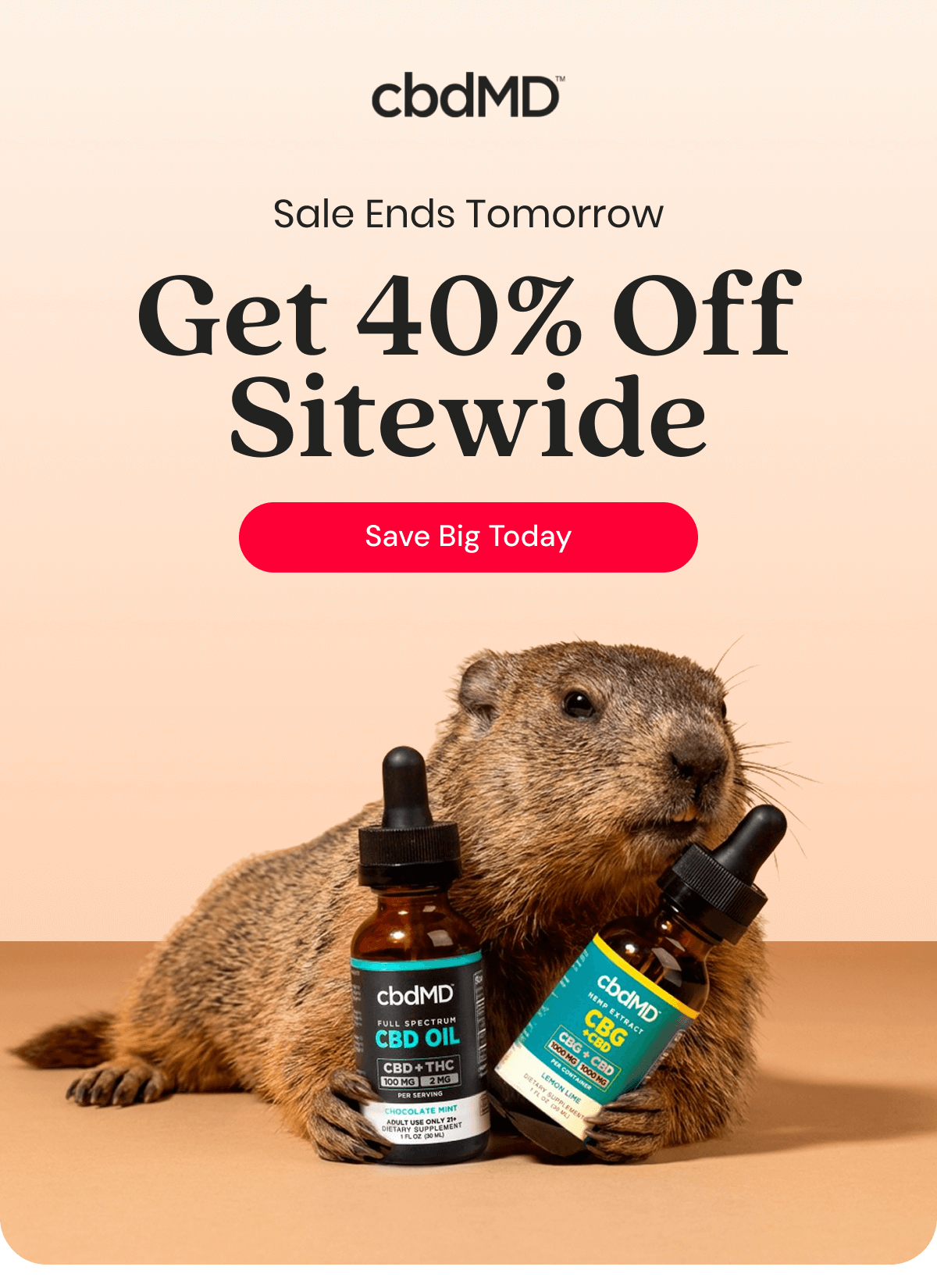 Sale Ends Tomorrow Get 40% Off Sitewide