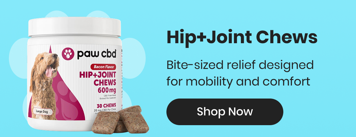 Hip+Joint Chews