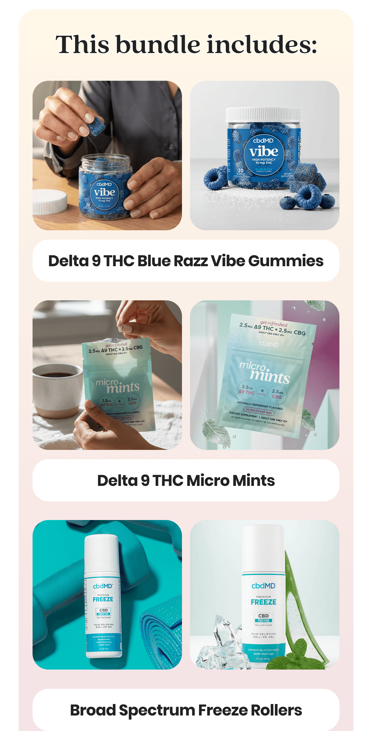 This bundle includes: