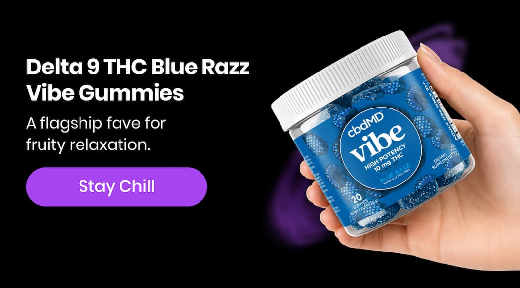 Delta 9 THC Blue Razz Vibe Gummies