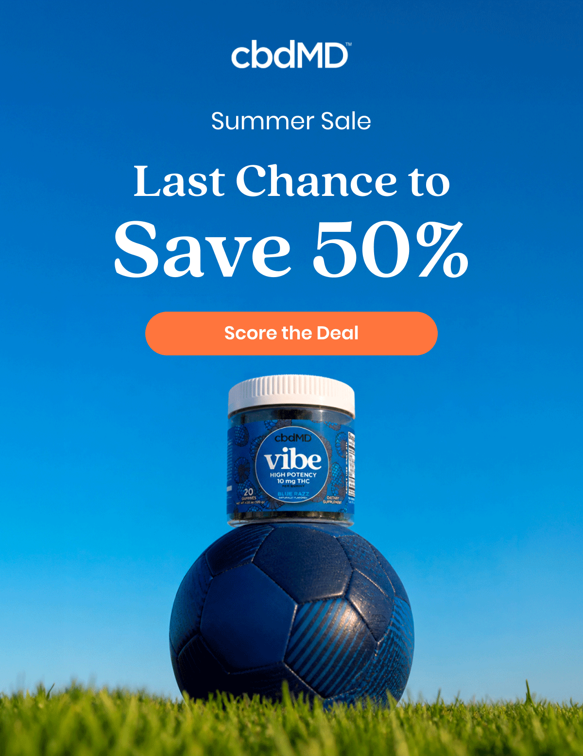 Summer Sale Last Chance to Save 50%