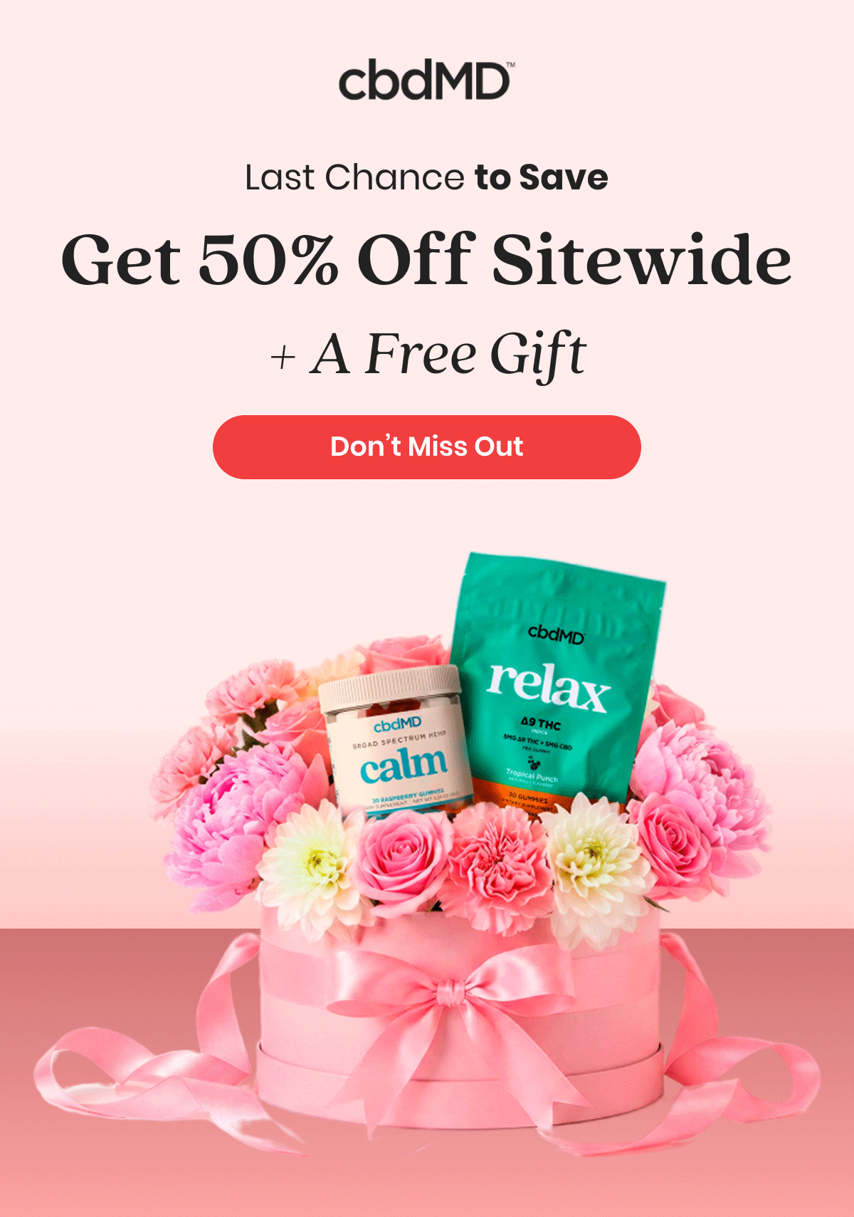 Last Chance to Save Get 50% Off Sitewide + A Free Gift