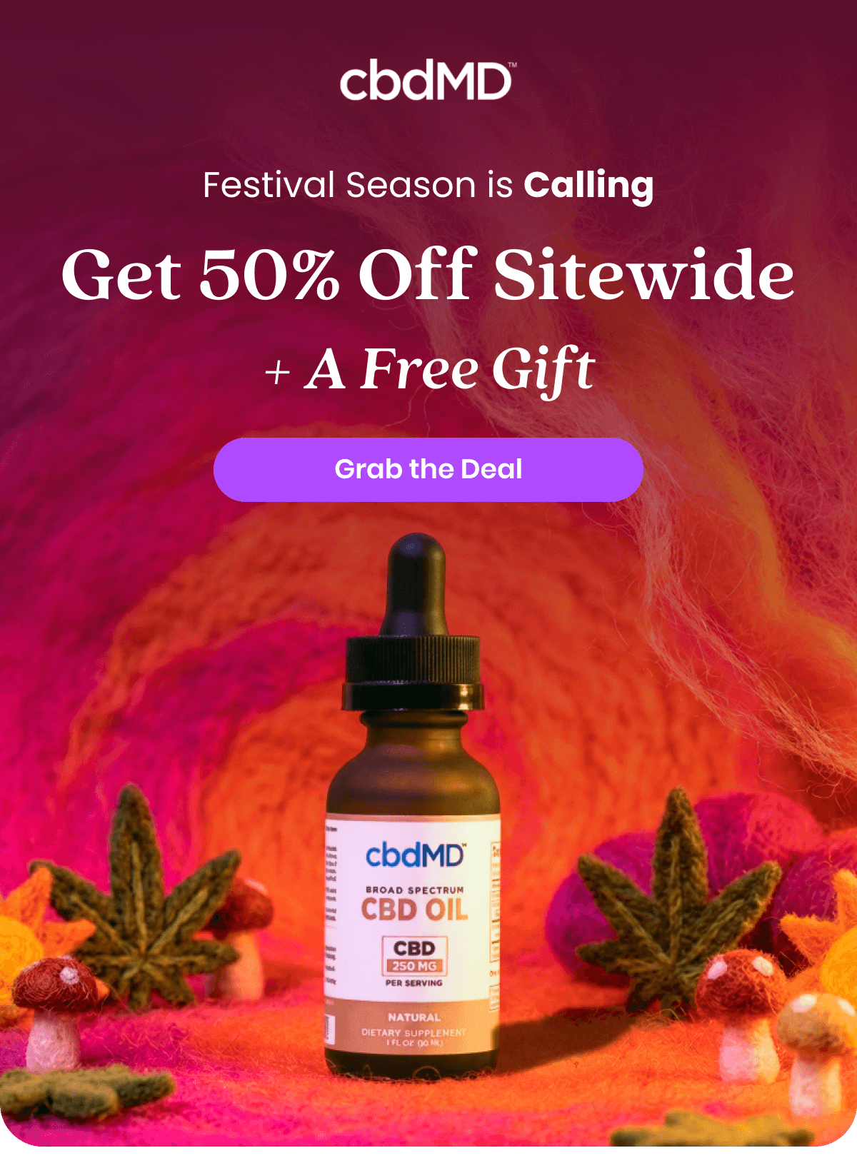 Festival Season is Calling Get 50% Off Sitewide