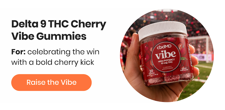 Delta 9 THC Lemon Vibe Gummies
