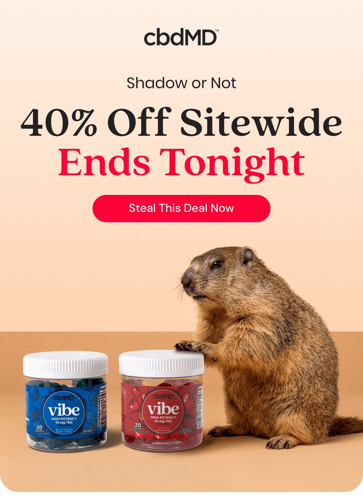 Shadow or Not 40% Off Sitewide Ends Tonight