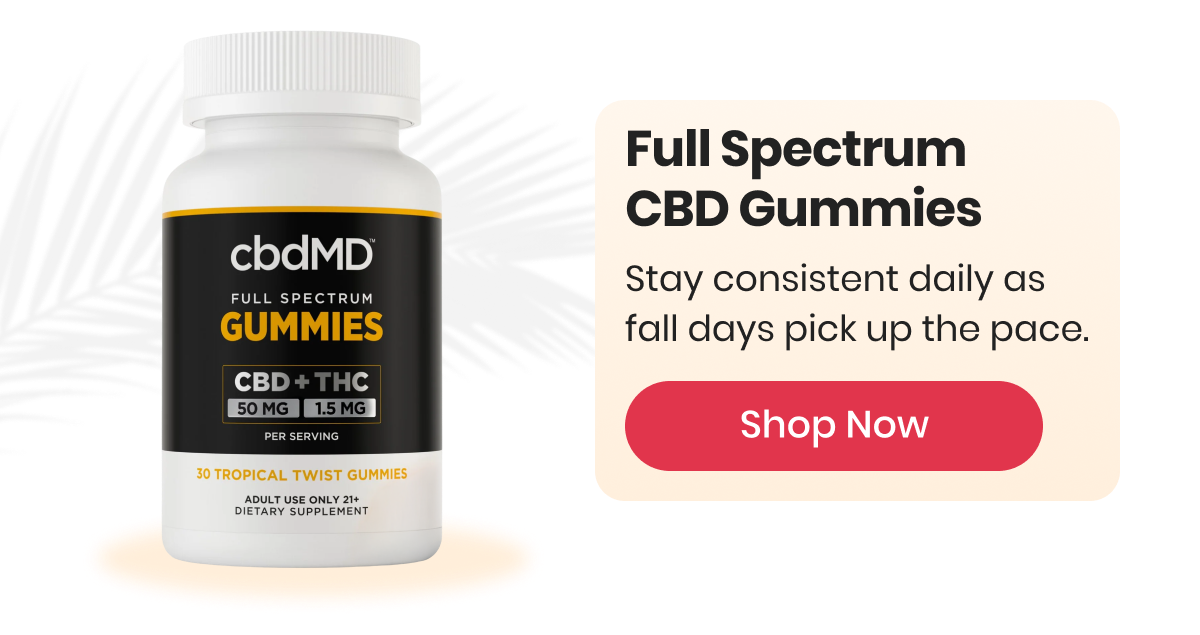 Full Spectrum CBD Gummies