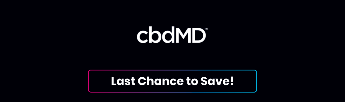 Last Chance to Save!