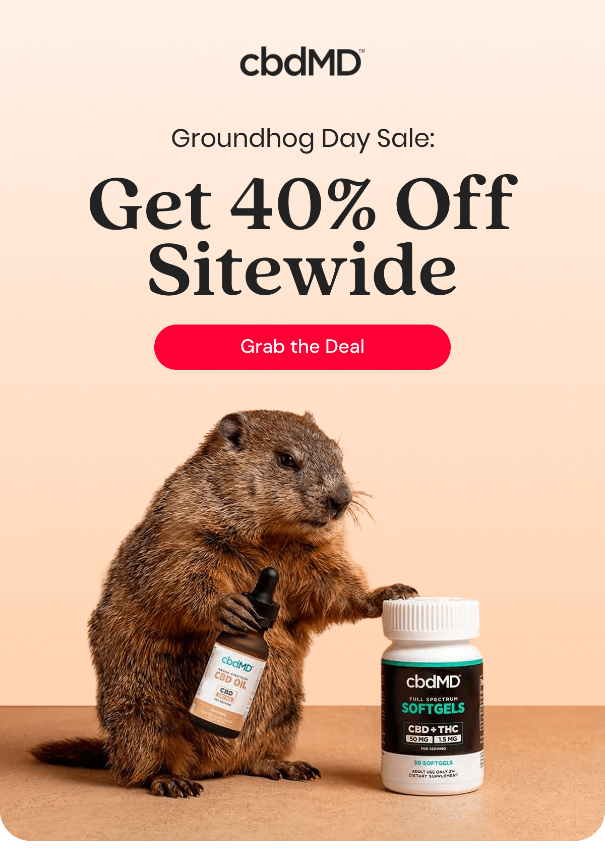 Groundhog Day Sale: Get 40% Off Sitewide