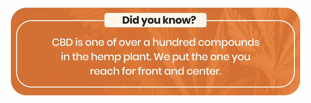 Did you know?