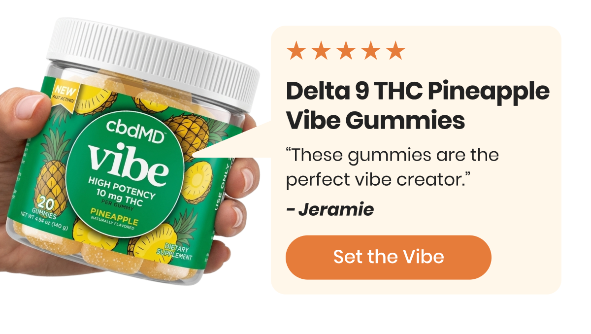 Delta 9 THC Pineapple Vibe Gummies