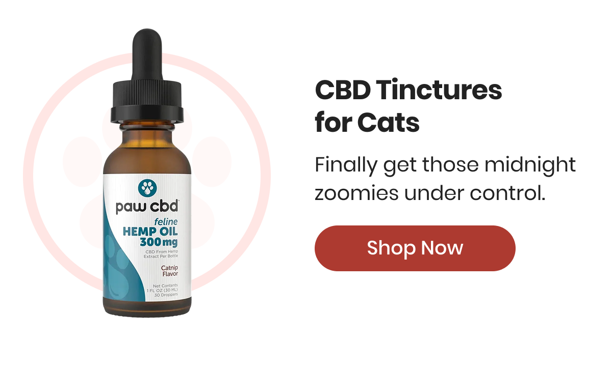 CBD Tinctures for Cats