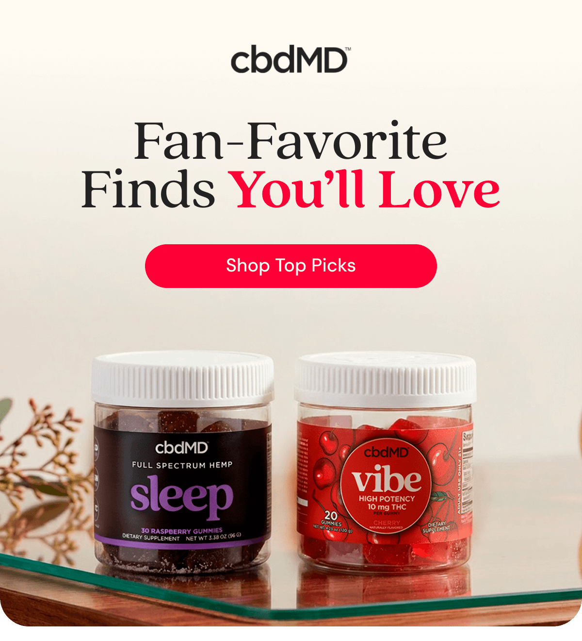 Fan-Favorite Finds You’ll Love