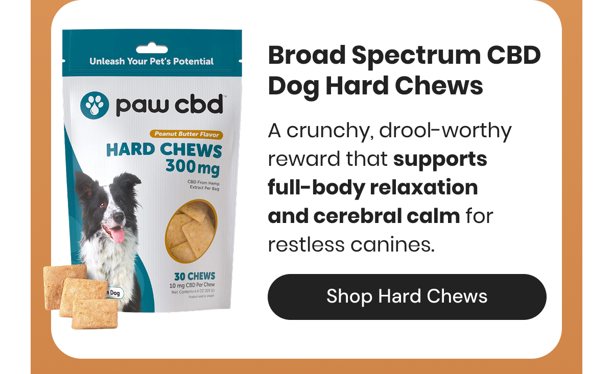 Broad Spectrum CBD Dog Hard Chews