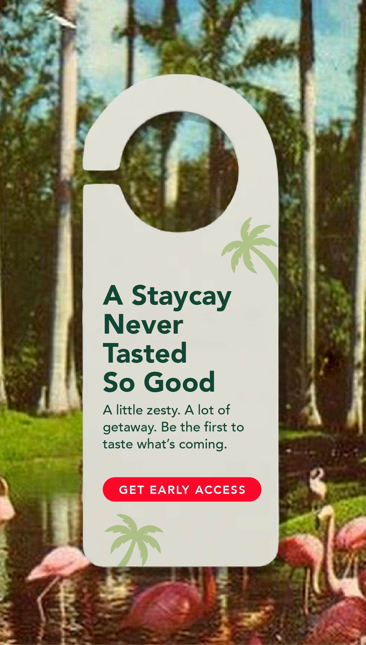 A little zesty. A lot of getaway. Be the first to taste what's coming. Sign up for early access now