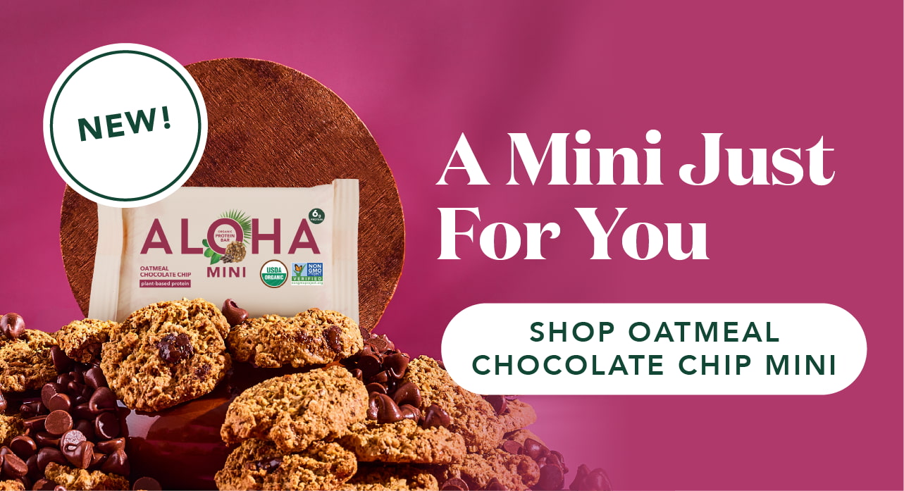 Shop our new Oatmeal Chocolate Chip minis!