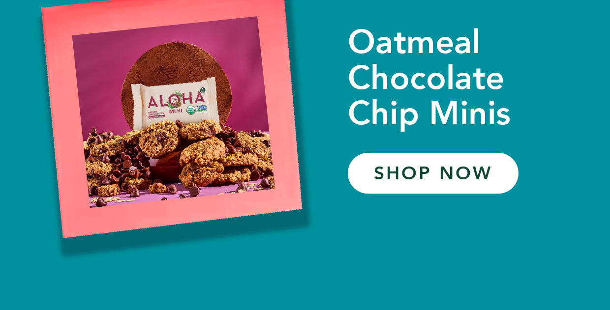 Shop Oatmeal Chocolate Chip Minis