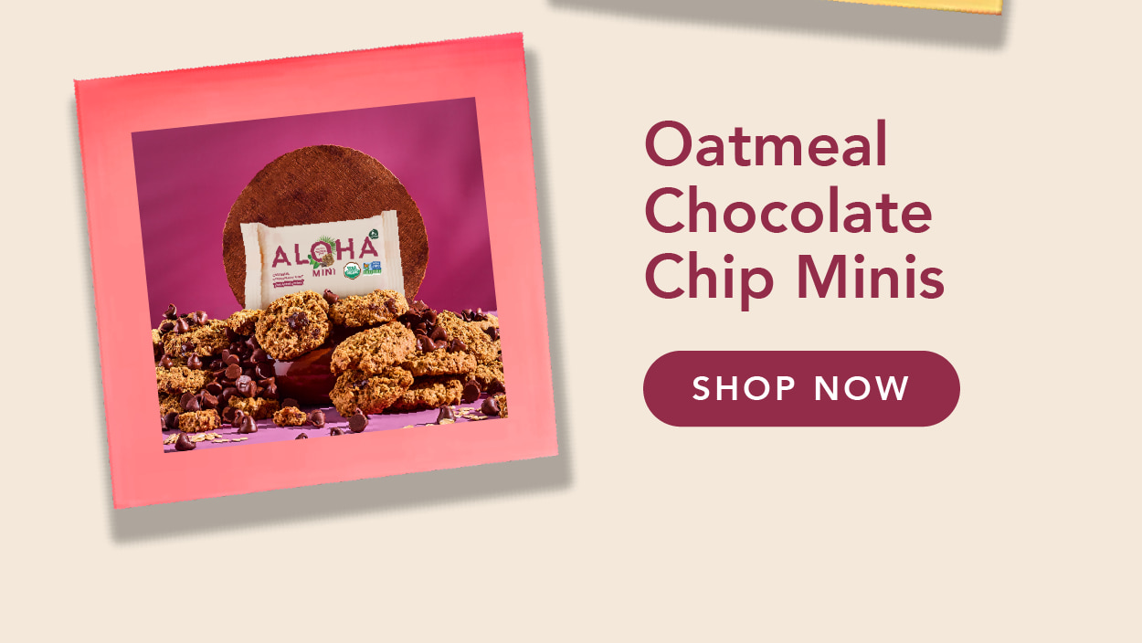 Shop Oatmeal Chocolate Chip Minis